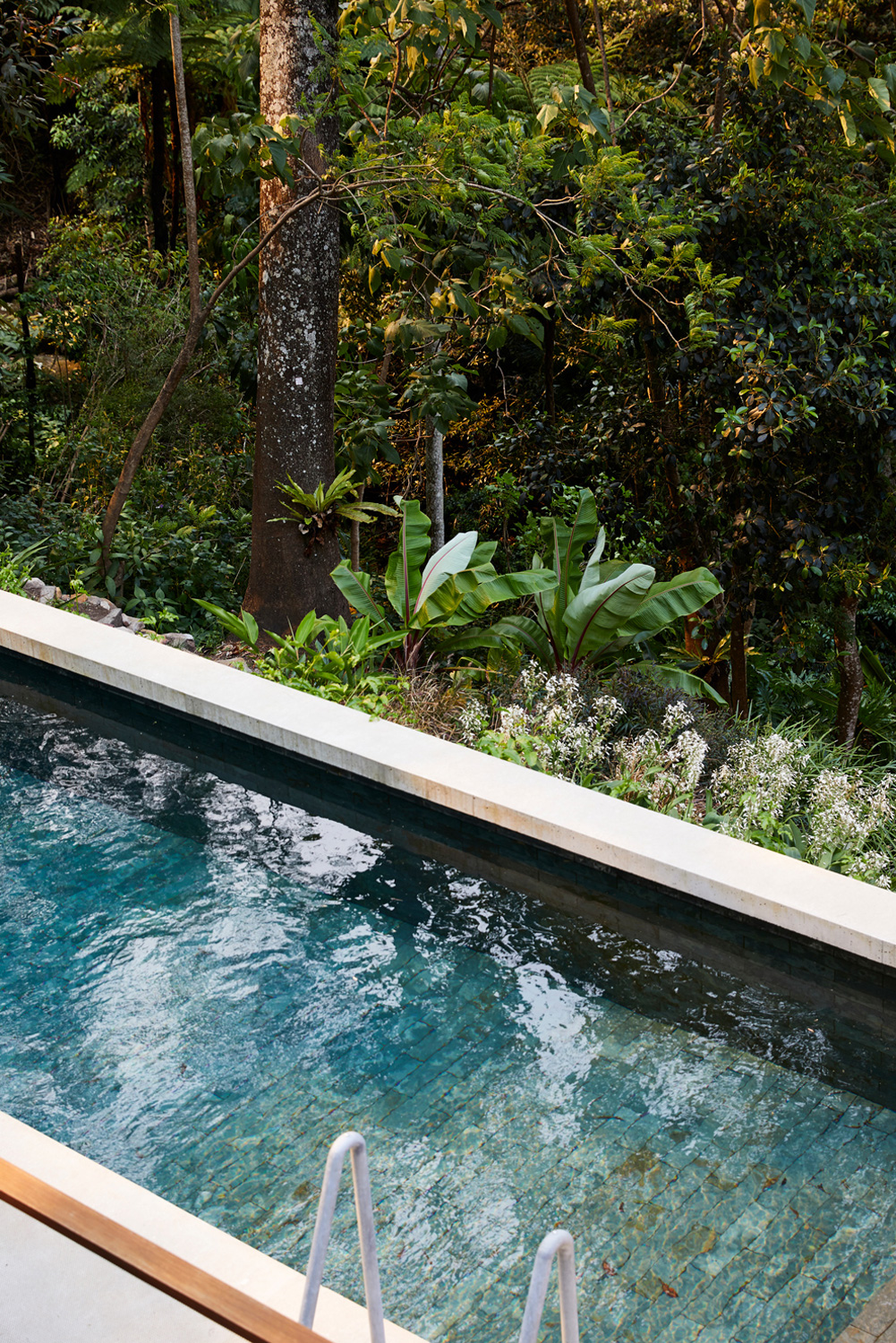 YinjiSpace Peter Stutchbury Architecture x Cabbage Tree House